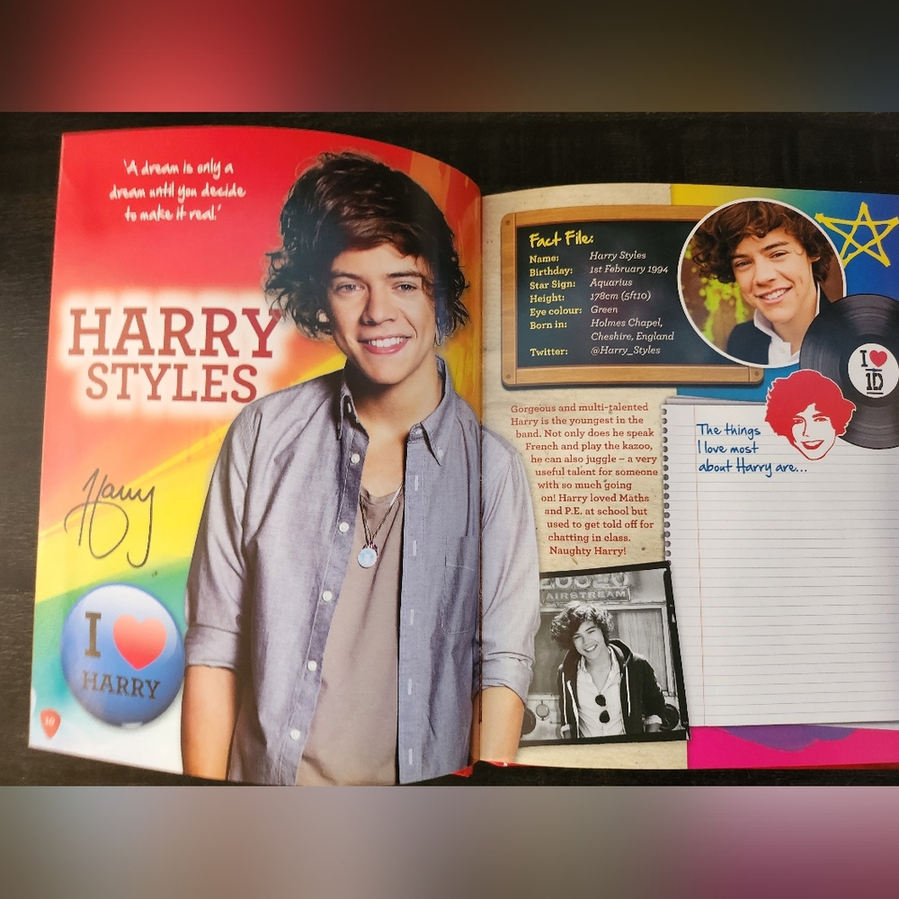 One Direction Secret Notebook 2013 - Picture 13 of 14